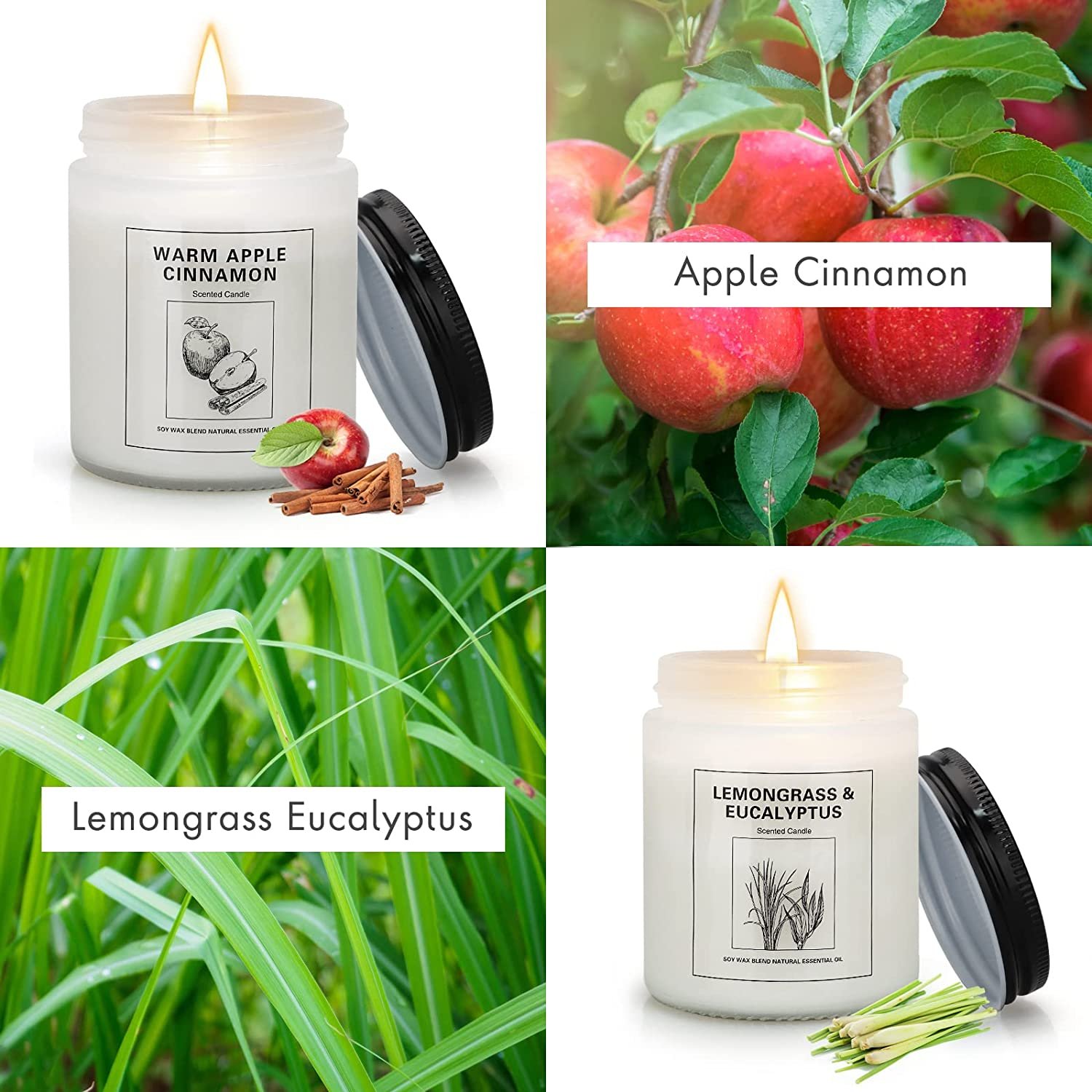 Candles
